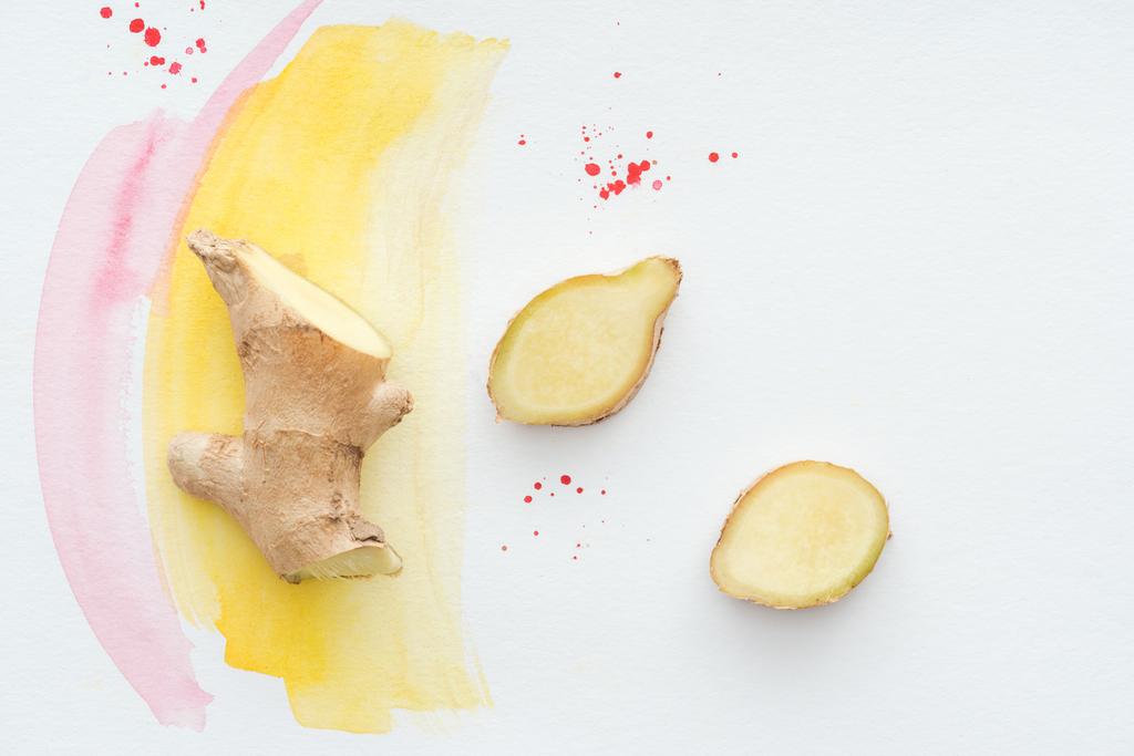 pohled shora krájený zázvor kořen na bílém povrchu s žlutým akvarel tahy - Fotografie, Obrázek