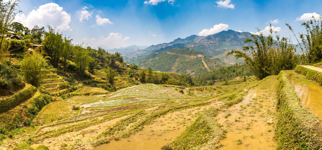 Terraced 夏の日のサパ、ラオカイ、ベトナムの田んぼのパノラマ - 写真・画像