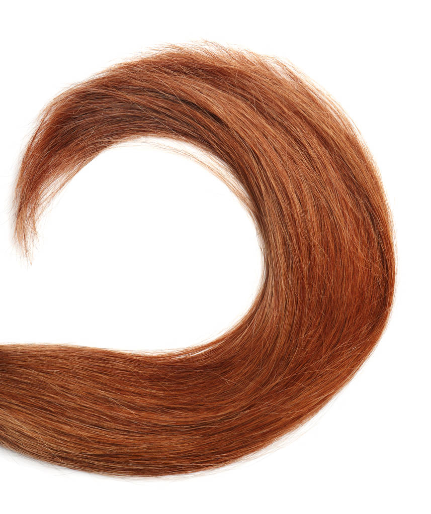 Serrure de cheveux bruns sains sur fond blanc
 - Photo, image