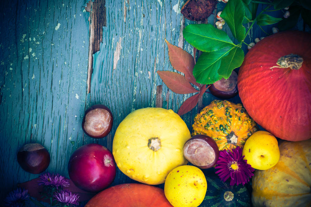 Herfst achtergrond met fruit en seizoensgebonden gewassen - Foto, afbeelding