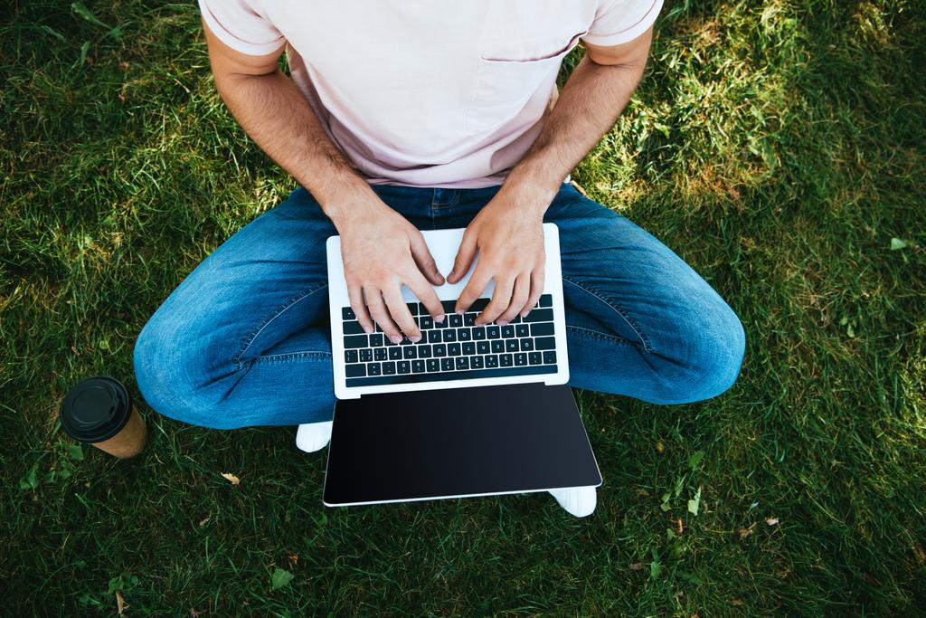 abgeschnittenes Bild eines Mannes mit Laptop mit leerem Bildschirm auf grünem Gras - Foto, Bild