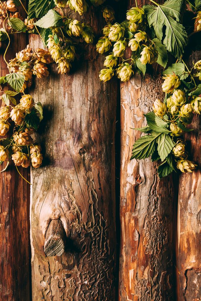 top view of hops with green leaves on wooden backdrop - Photo, Image