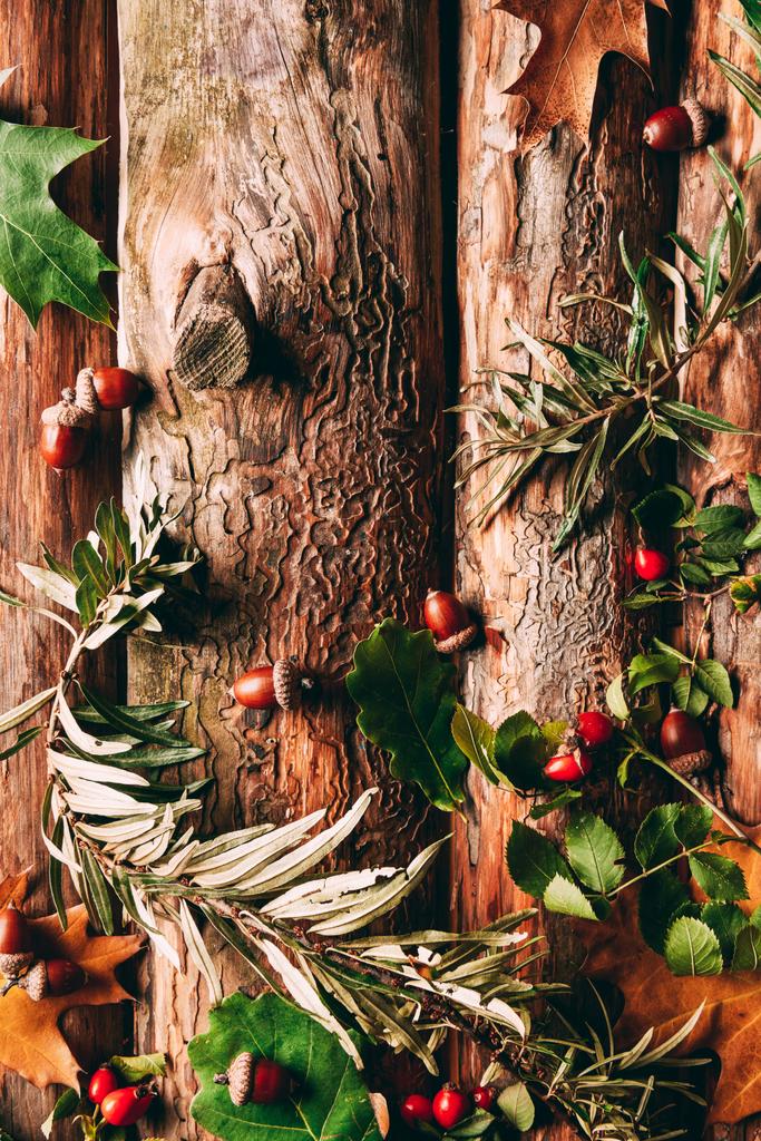 plat couché avec arrangement d'automne avec glands, argousier commun et branches de ronces sur fond en bois
 - Photo, image
