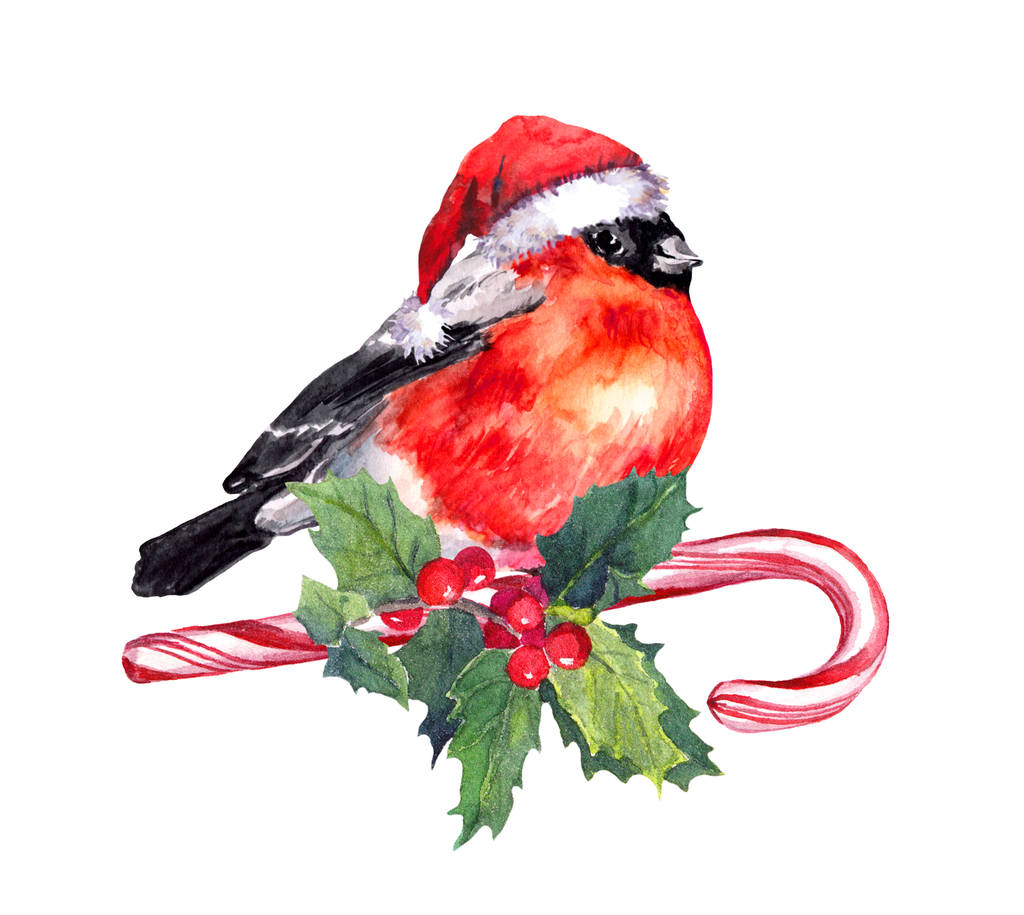 Weihnachtsvogel Finke mit roter Weihnachtsmütze auf Zuckerrohr und Mistel. Aquarell - Foto, Bild