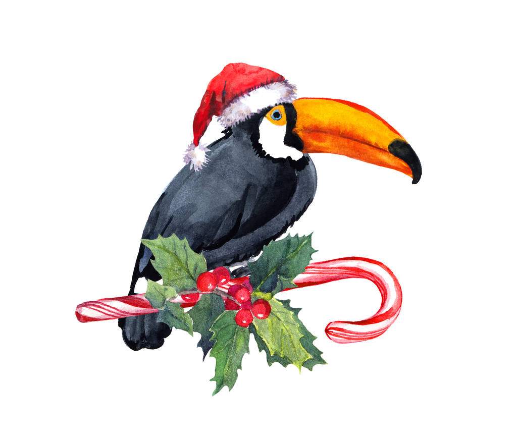 Toucan πουλί με κόκκινο καπέλο santa για καραμέλα από ζαχαροκάλαμο και Χριστούγεννα γκι. Ασυνήθιστη κάρτα για τα τροπικά Χριστούγεννα. Ακουαρέλα κάρτα - Φωτογραφία, εικόνα