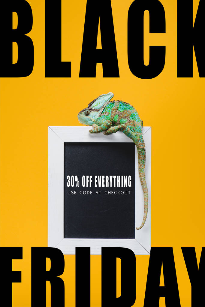 hermoso reptil colorido en pizarra con venta de viernes negro aislado en amarillo
 - Foto, imagen