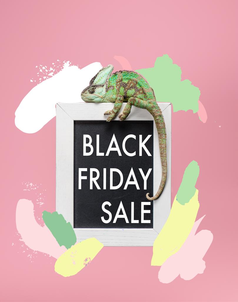 piękny jasny zielony kameleon na tablicy w białą ramkę na białym tle na różowy z black sprzedaży piątek - Zdjęcie, obraz