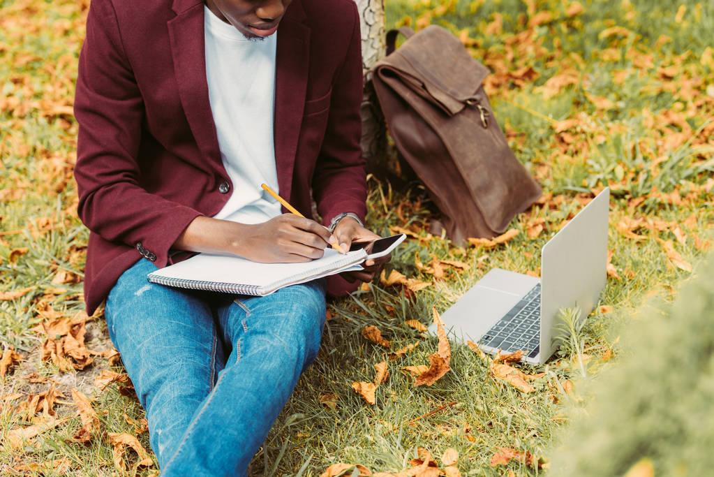 Ausgeschnittene Ansicht eines afrikanisch-amerikanischen Freiberuflers, der Dokumente schreibt, mit Laptop und Smartphone auf Gras im Park arbeitet - Foto, Bild