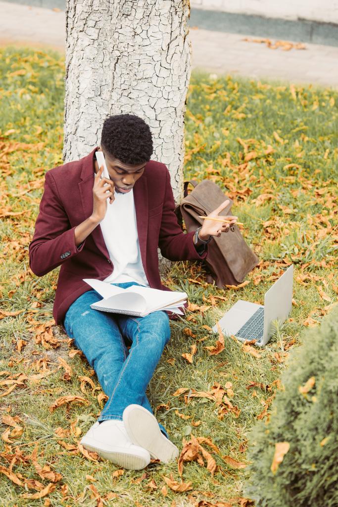 frustrado afroamericano freelancer trabajando con el ordenador portátil y hablando en el teléfono inteligente en la hierba en el parque
 - Foto, imagen
