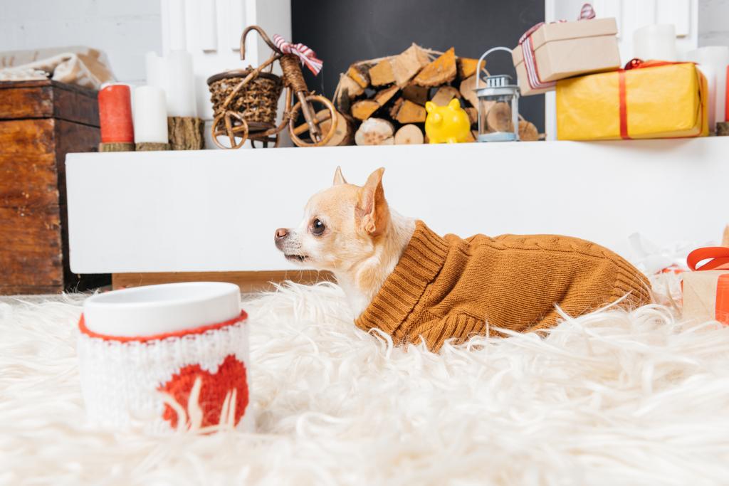 kis chihuahua kutya-ban pulóver csésze forró itallal és karácsonyi ajándékok közelében által - Fotó, kép