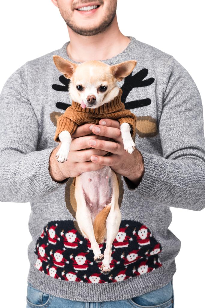 Schnappschuss eines Mannes in festlichem Winterpullover mit kleinem Chihuahua-Hund auf weißem Untergrund - Foto, Bild