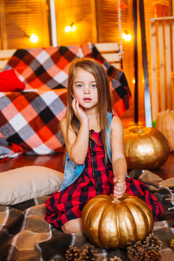 Malá roztomilá holčička s dlouhými kudrnatými vlasy poblíž swing a dýně v červené kostkované šaty a deky - Fotografie, Obrázek