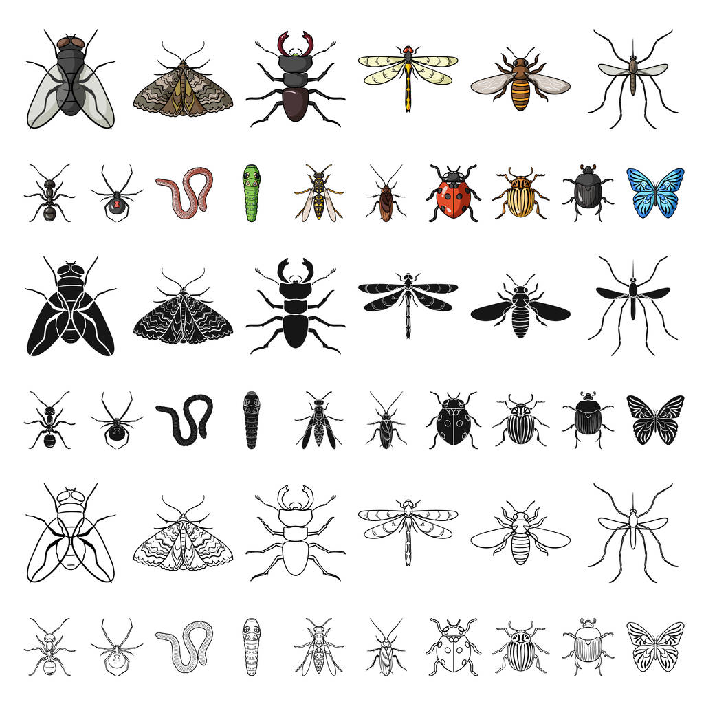Különféle rovarok ikonok beállítása gyűjtemény, design rajzfilm. Rovar, ízeltlábú vektor szimbólum állomány honlap illusztráció. - Vektor, kép