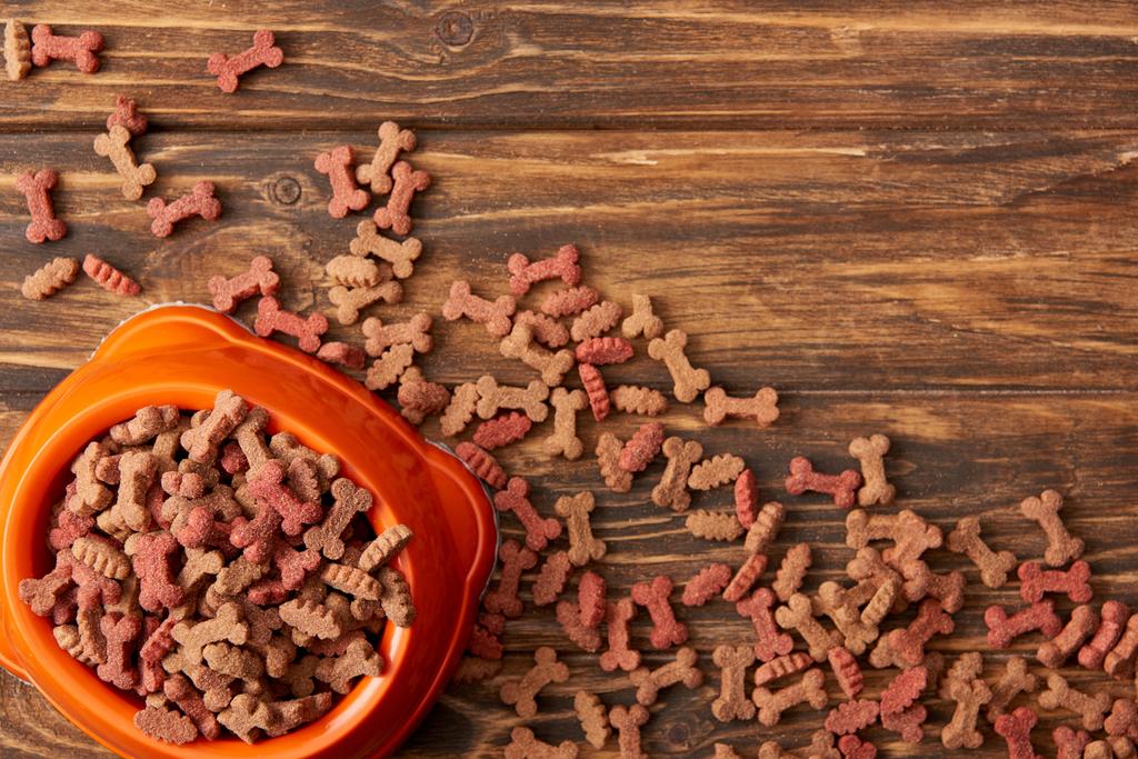 view from above of plastic bowl with pile of dog food on wooden background - Photo, Image
