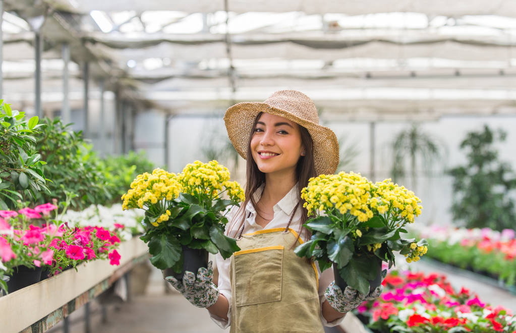 Jolie jardinière prenant soin des plantes dans sa boutique de fleurs et de plantes - Femme asiatique travaillant dans une serre
 - Photo, image