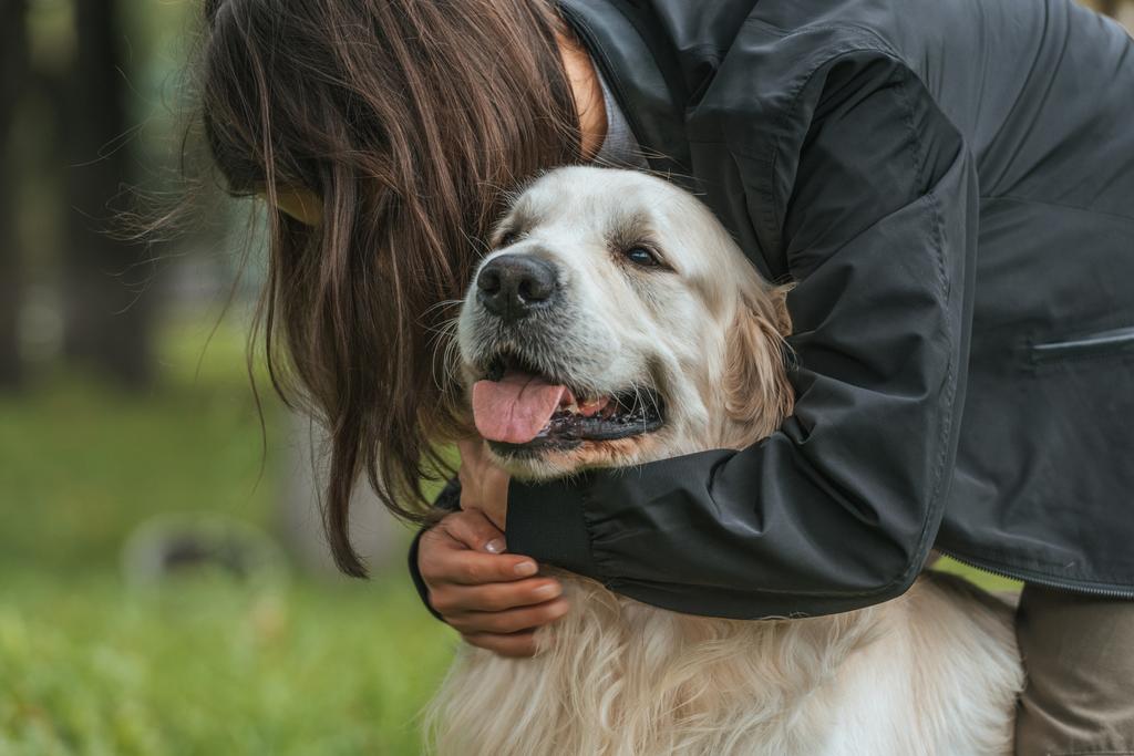 νεαρή γυναίκα αγκαλιάζει χαριτωμένο αστείο σκύλο στο πάρκο - Φωτογραφία, εικόνα