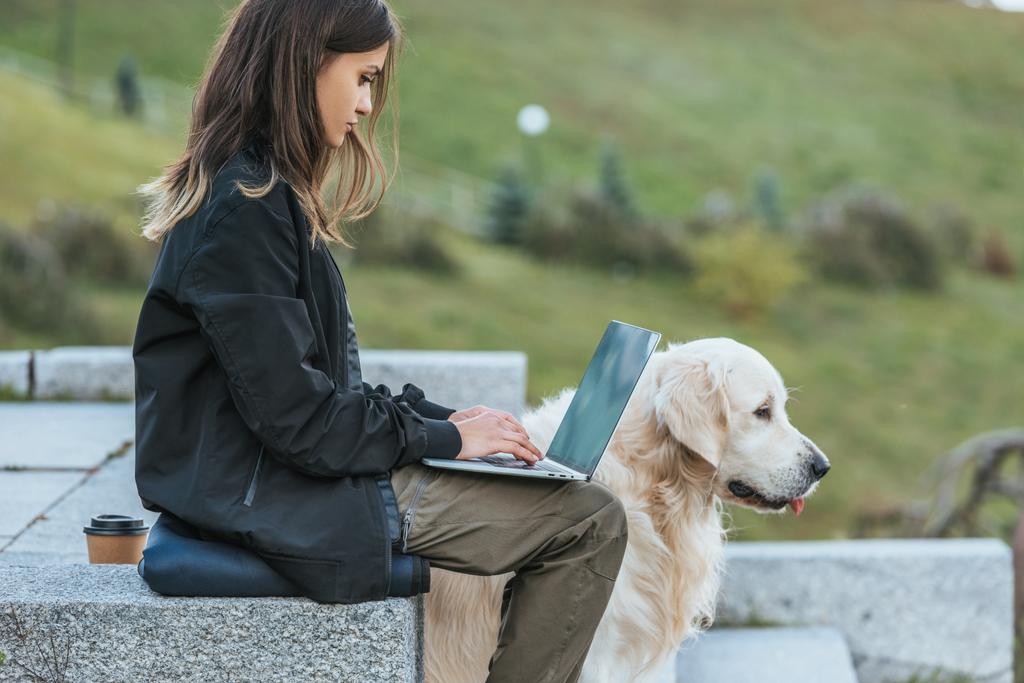 Zijaanzicht van freelancer met behulp van de laptop tijdens de vergadering met de hond in park - Foto, afbeelding