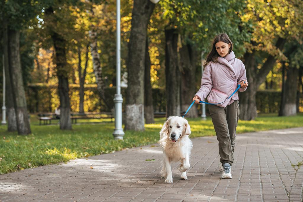 Młoda kobieta spaceru z psem w parku - Zdjęcie, obraz