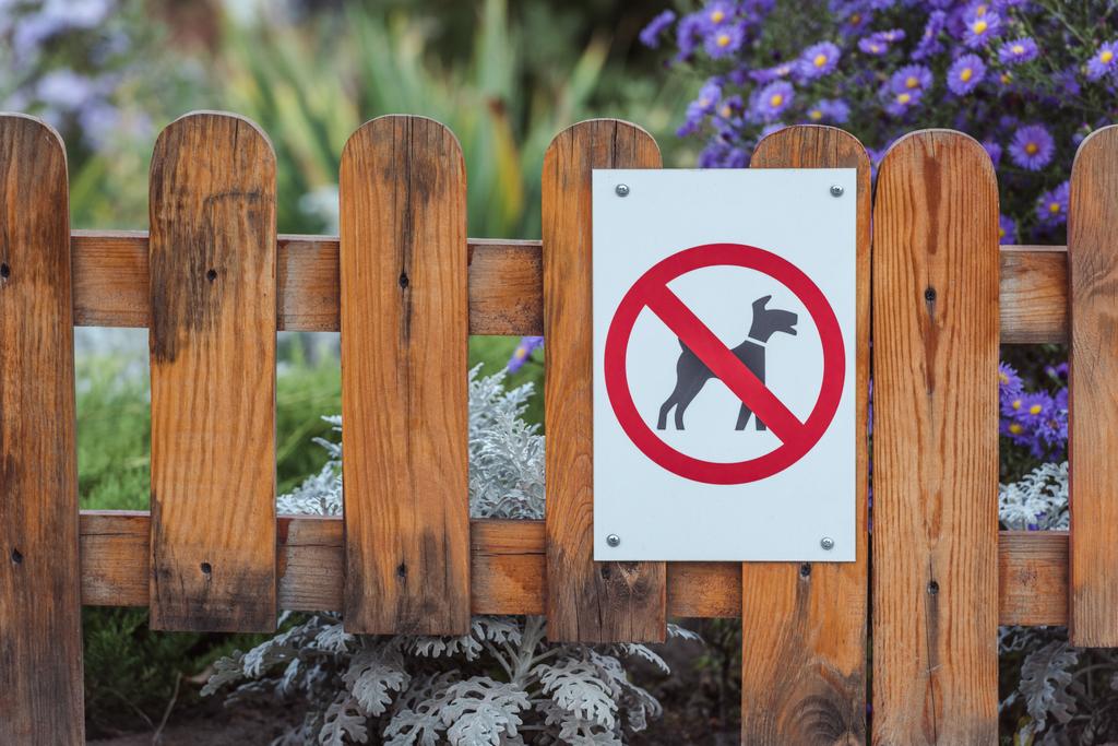 Вид крупным планом собаки запрещён знак на деревянном заборе в парке
 - Фото, изображение