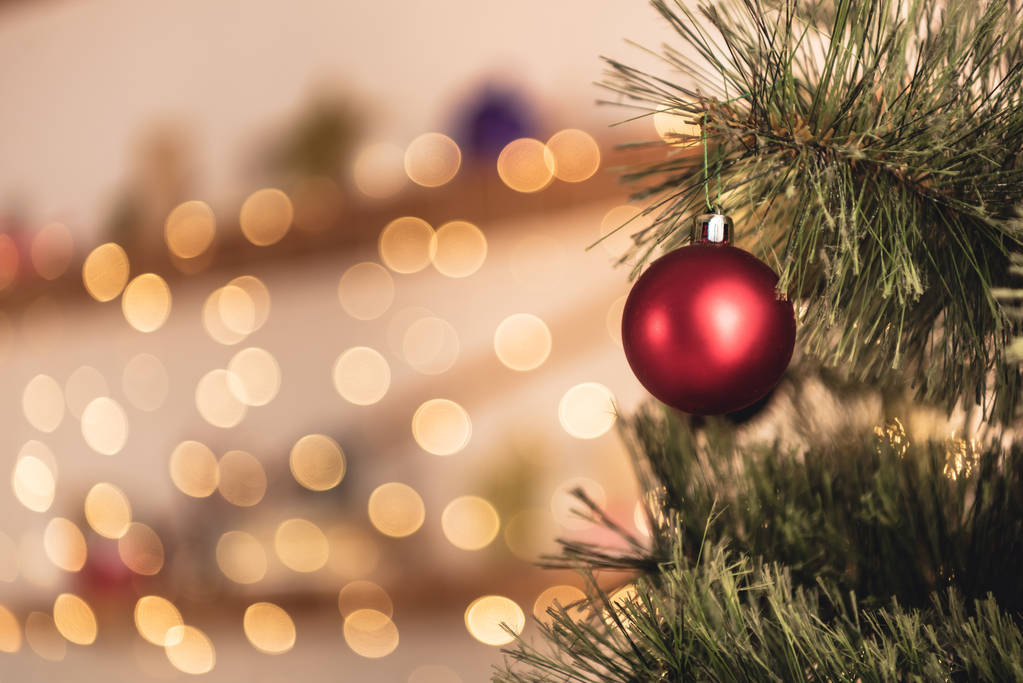 обрезанный образ рождественской елки с красной игрушкой в комнате
 - Фото, изображение