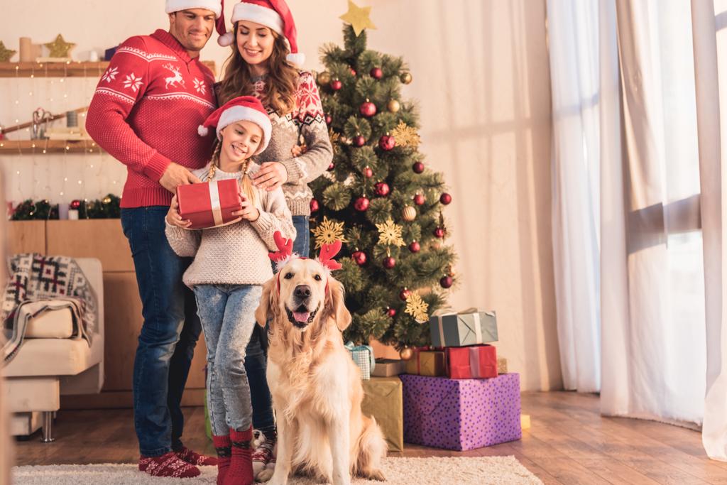 heureux famille dans santa chapeaux avec golden retriever chien en cornes de cerf posant à la maison près de l'arbre de Noël avec des cadeaux
 - Photo, image