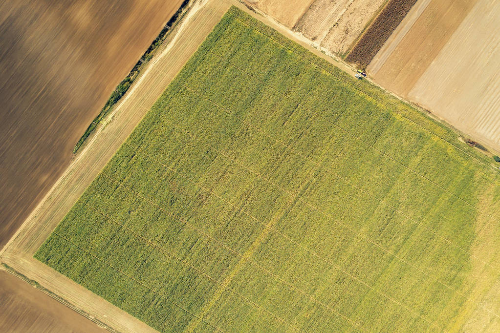 Viljelysmaa maissi sato Aerial View - Valokuva, kuva