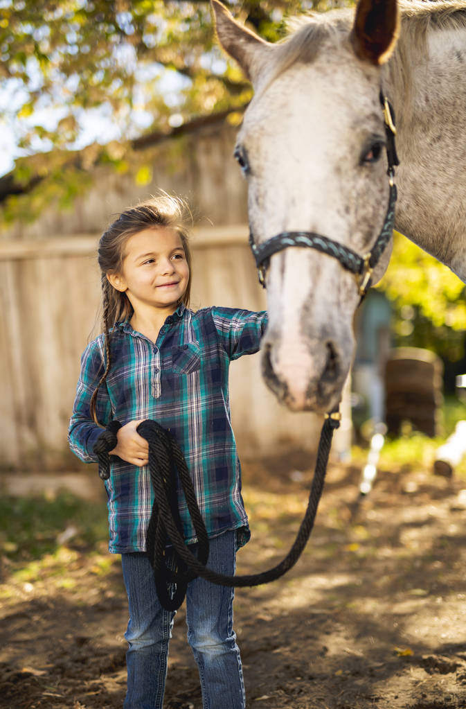 σε μια όμορφη εποχή το φθινόπωρο ένα νεαρό κορίτσι και το άλογο - Φωτογραφία, εικόνα
