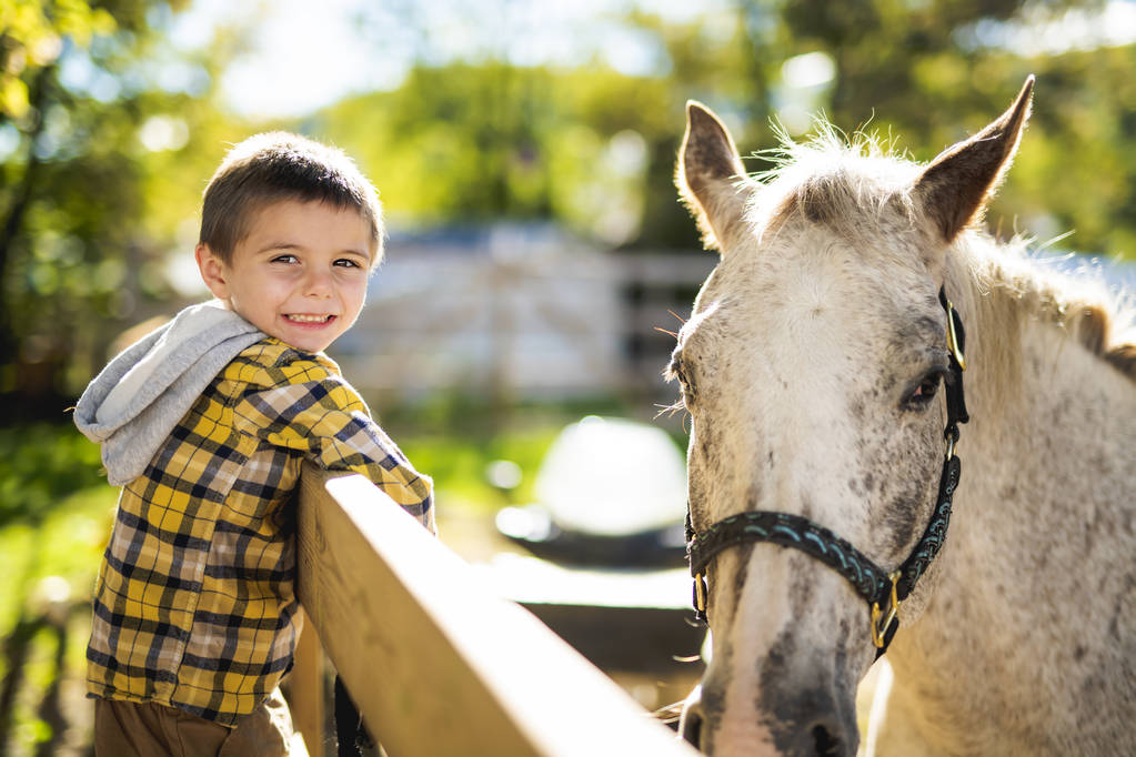 em uma bela temporada de outono de um menino e cavalo
 - Foto, Imagem