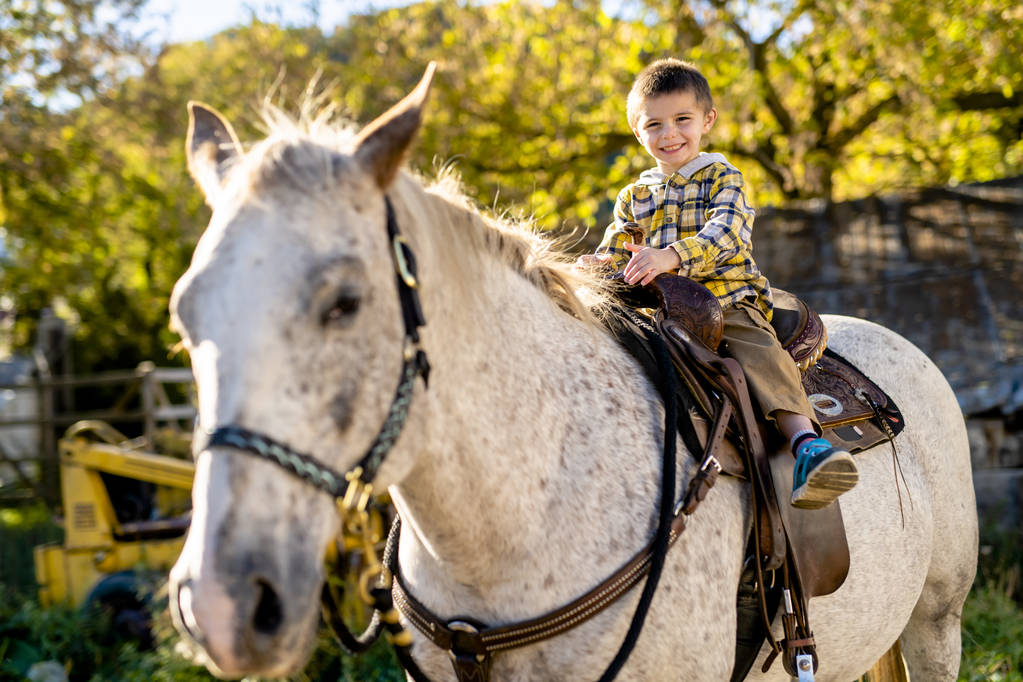 dans une belle saison d'automne d'un jeune garçon et cheval
 - Photo, image