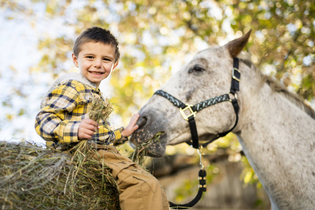 Ένα αγόρι σε μια όμορφη εποχή το φθινόπωρο με και άλογο - Φωτογραφία, εικόνα