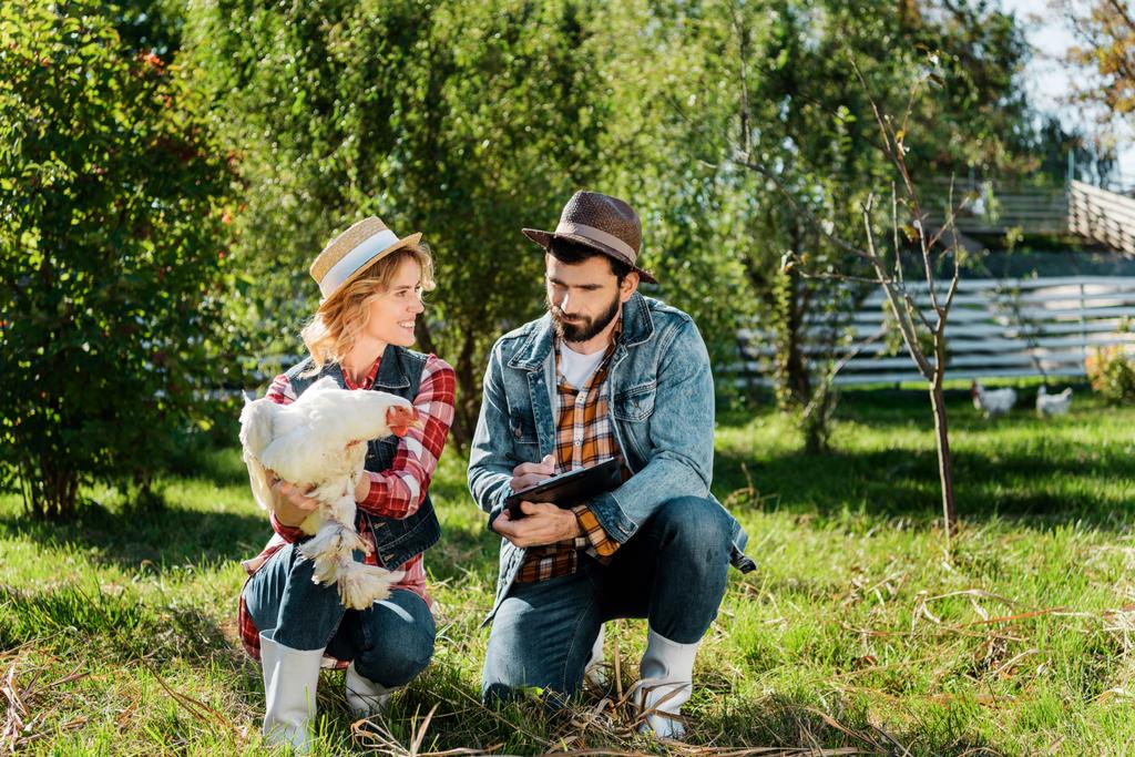mulher atraente segurando frango enquanto seu namorado fazendo notas na área de transferência na fazenda
 - Foto, Imagem