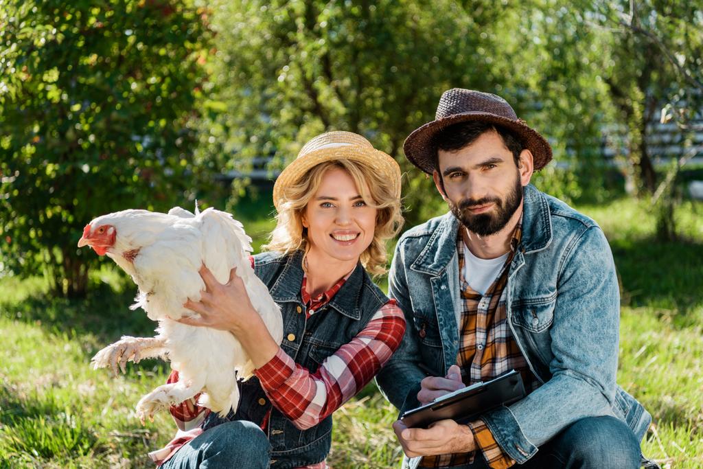 счастливая женщина держит курицу, пока ее парень делает заметки в бумагах на ферме
 - Фото, изображение