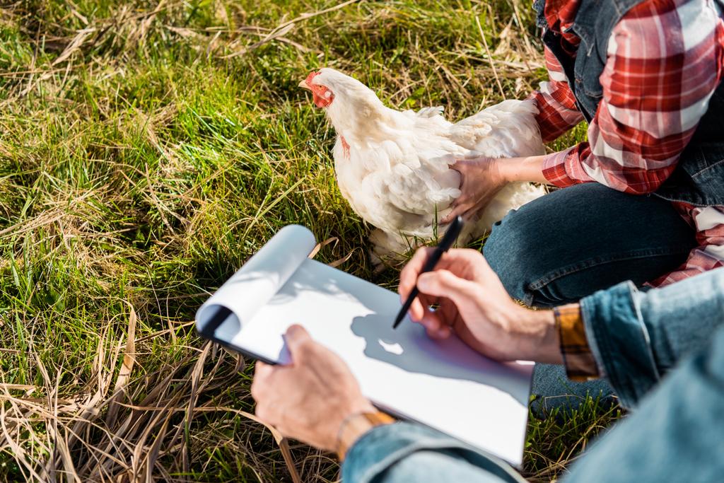 vista parcial de una agricultora sosteniendo pollo mientras su novio toma notas en el portapapeles al aire libre
 - Foto, Imagen