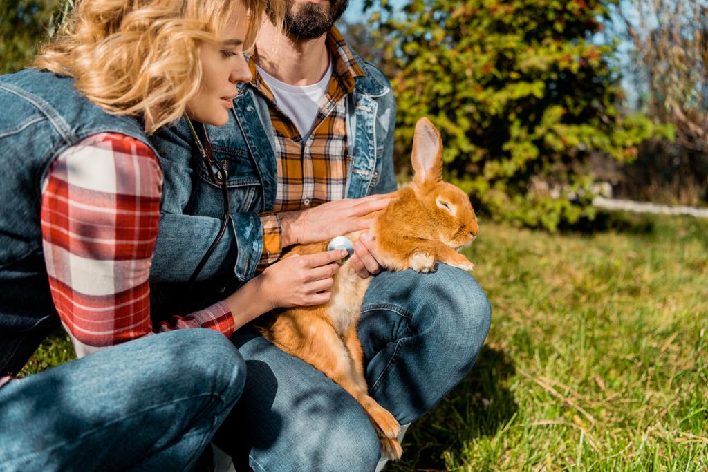 Teilansicht eines männlichen Bauern, der Kaninchen hält, während seine Freundin Kaninchen mit dem Stethoskop im Freien hört - Foto, Bild