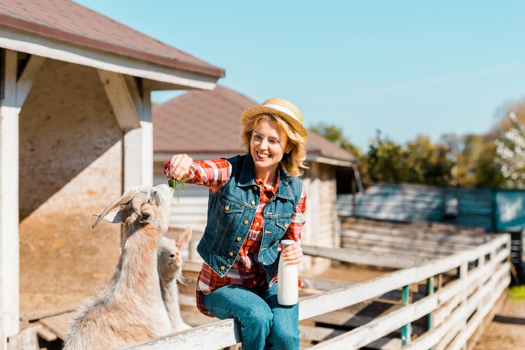 γυναίκα με μπουκάλι γάλα κάθεται στο ξύλινο φράχτη και τάισμα αιγοπροβάτων από χόρτο στο αγρόκτημα - Φωτογραφία, εικόνα