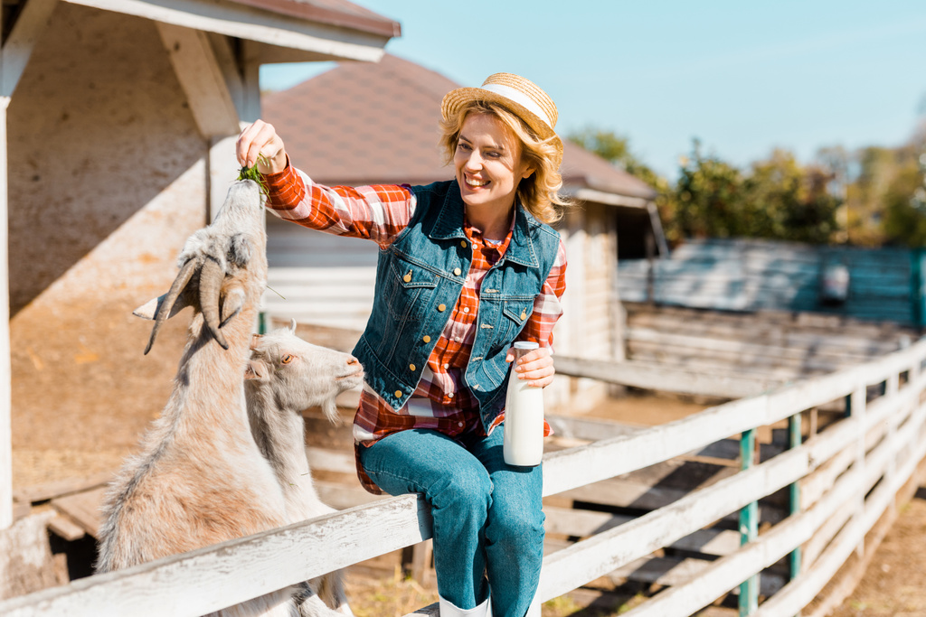 šťastné ženy farmář s láhev mléka sedí na dřevěný plot a krmení koz tráva na farmě - Fotografie, Obrázek