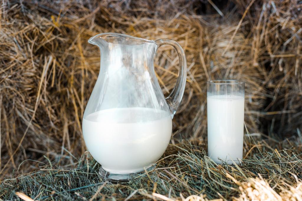 enfoque selectivo de la jarra y el vaso con leche en las pilas de heno en la granja
  - Foto, Imagen