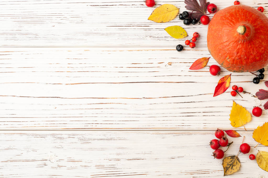 Herbstblätter, Beeren und Kürbisse auf weißem, rustikalem Holzgrund. Ansicht von oben. Kopierraum. - Foto, Bild