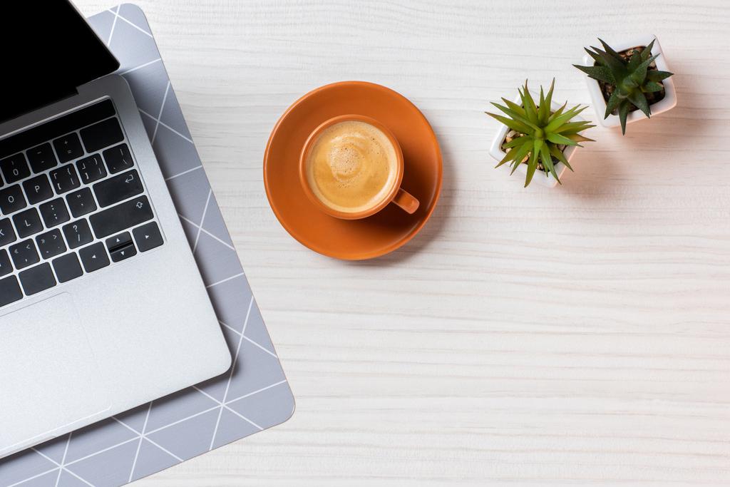 płaskie lay z laptopa, filiżanki kawy i zielonych roślin doniczkowych w tabeli w biurze  - Zdjęcie, obraz