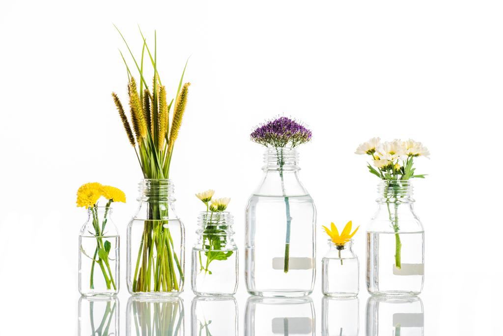 a virágzó virágok elszigetelt fehér, alternatív gyógyászat fogalmát üvegedények - Fotó, kép