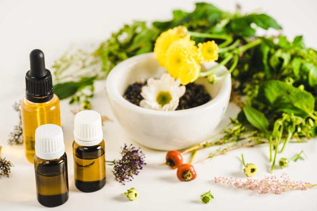 bottles of essential oils and herbs on white surface, alternative medicine concept - Photo, Image