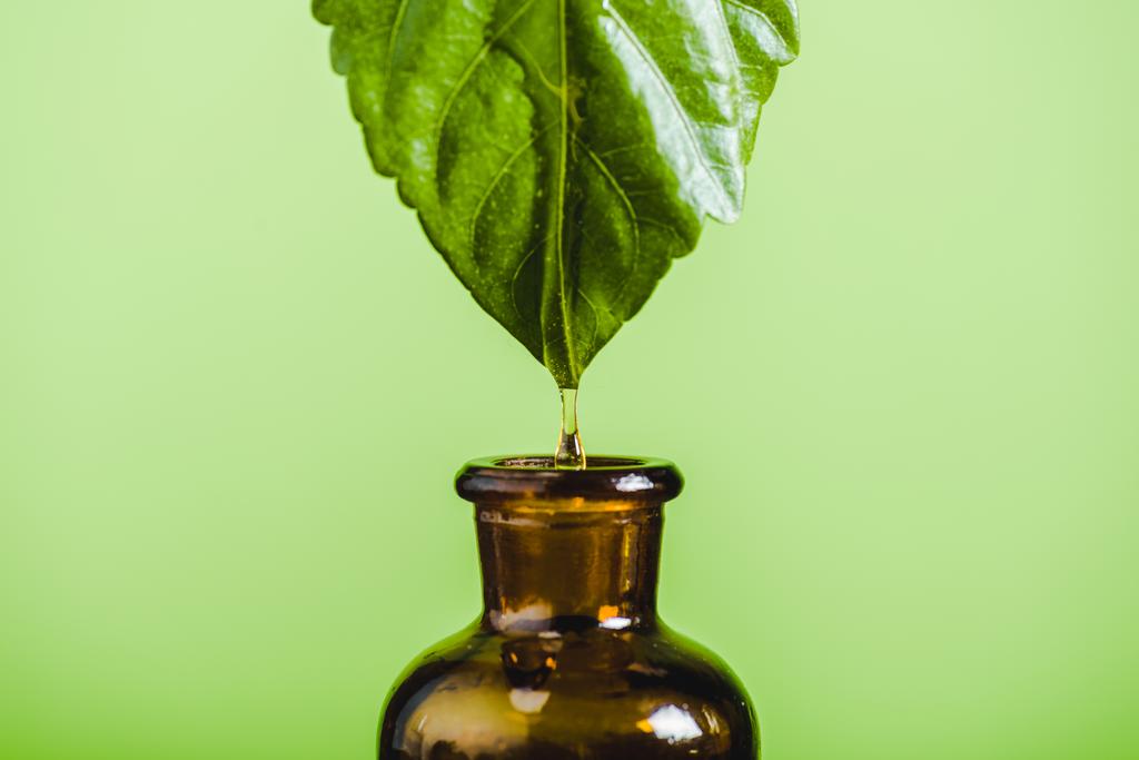 óleo essencial que goteja da folha na garrafa de vidro isolada no verde
 - Foto, Imagem