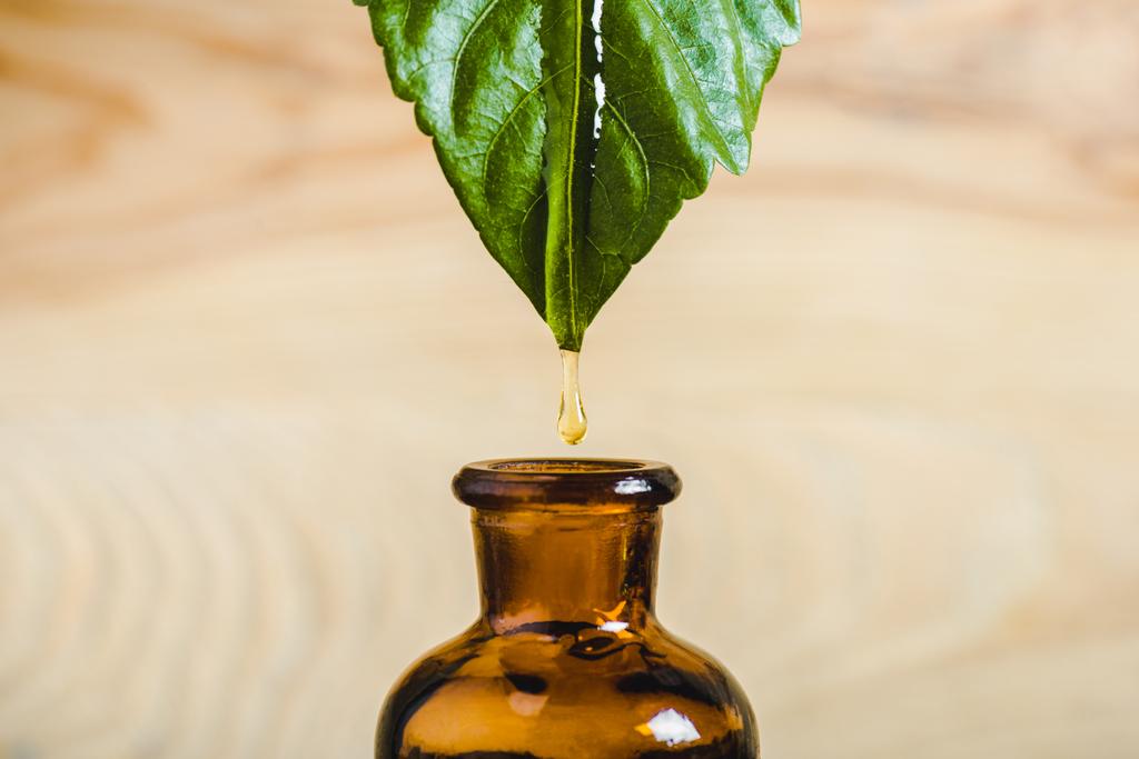close up of essential oil dripping from leaf into glass bottle isolated on beige - Photo, Image