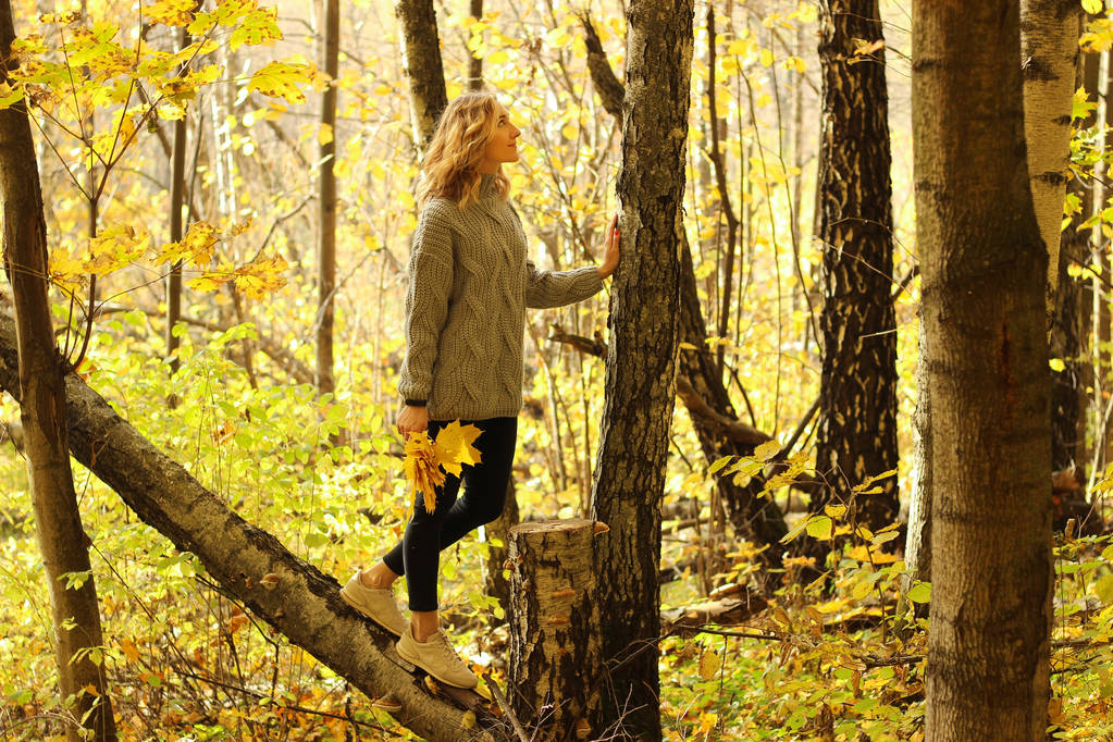 Όμορφη κοπέλα σε ένα πλεκτό πουλόβερ στο φόντο του φθινοπώρου πάρκο με πεσμένα φύλλα - Φωτογραφία, εικόνα
