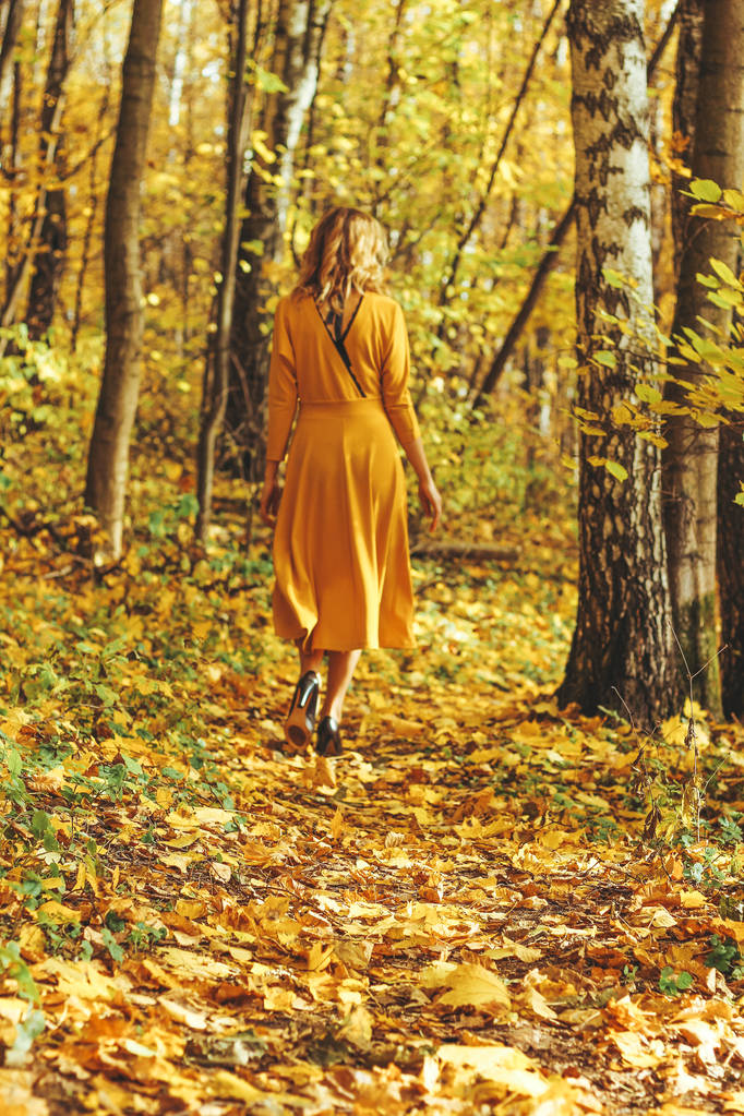 黄色の長いドレスの美しい少女は、落ち葉で秋の公園で歩く. - 写真・画像