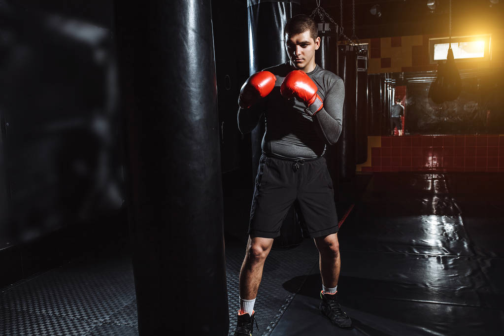 Boxer atinge um saco de velocidade no ginásio
 - Foto, Imagem