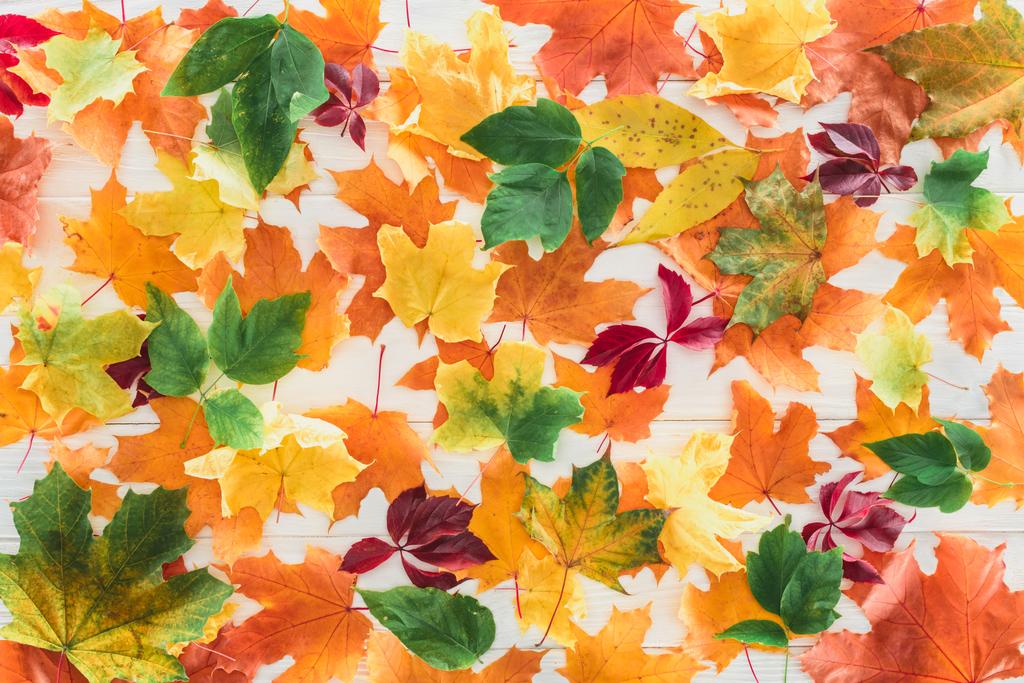 κάτοψη του πεσμένο Φθινοπωρινό maple φύλλα σε ξύλινη επιφάνεια - Φωτογραφία, εικόνα