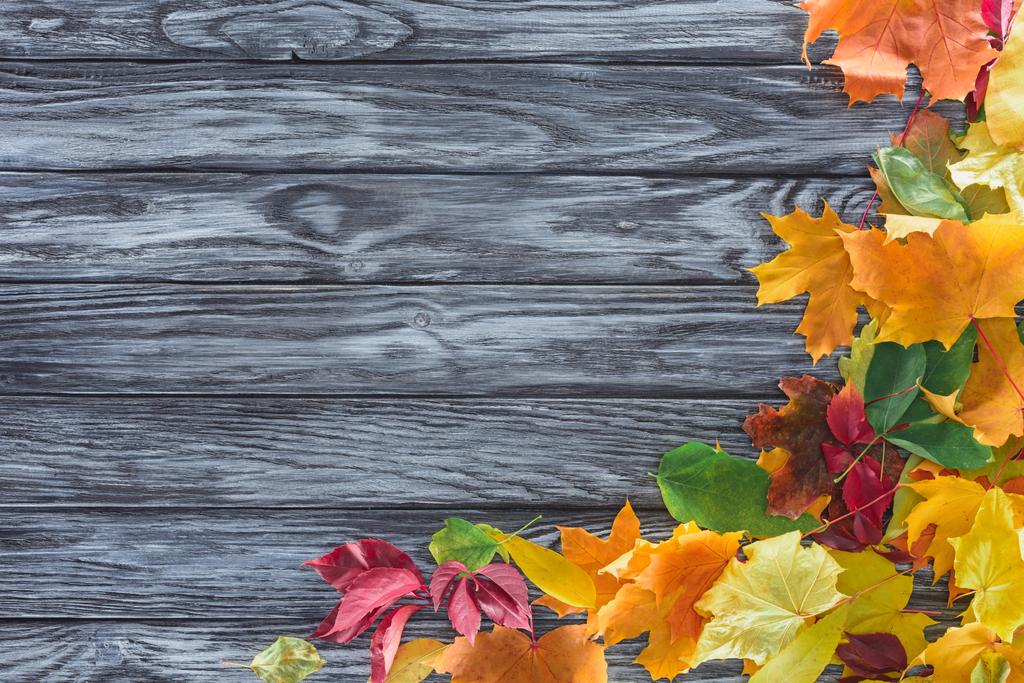 Widok z góry jesiennych liści na szarej powierzchni drewnianych - Zdjęcie, obraz