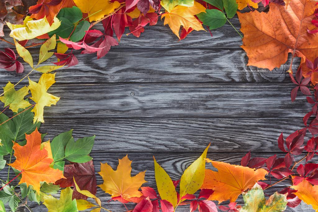 bovenaanzicht van frame van gekleurde herfst esdoorn bladeren op houten oppervlak - Foto, afbeelding