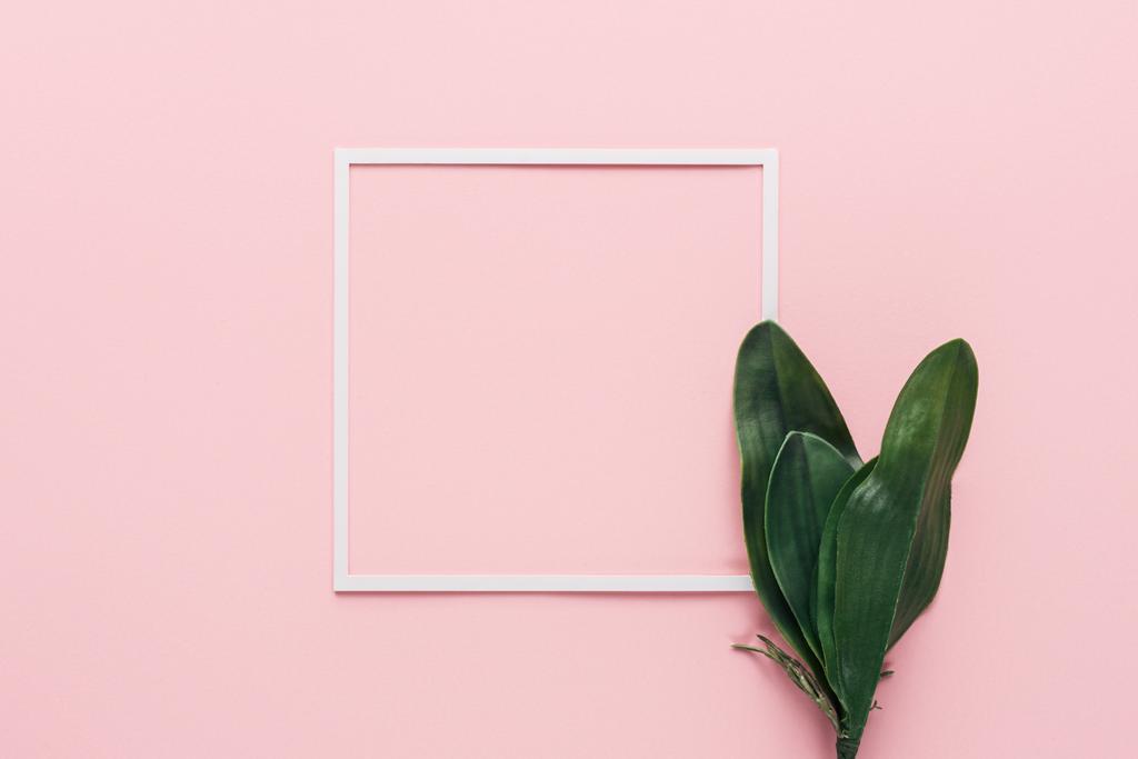 elevated view of white frame and green tropical leaves on pink, minimalistic concept - Photo, Image